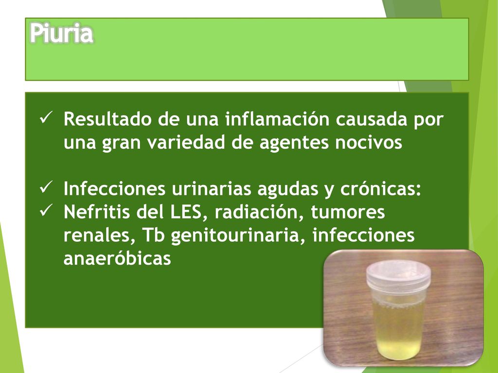 ¿La dieta cetosis puede causar rabdomiólisis?